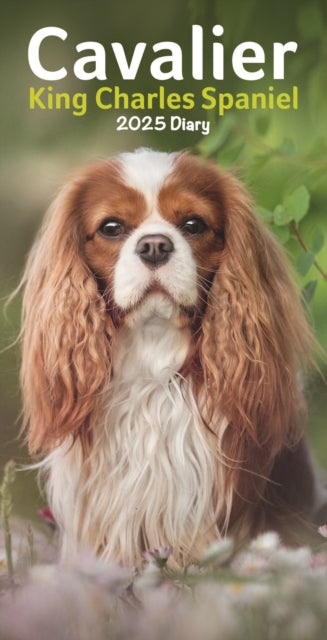 Cavalier King Charles Spaniels Slim Diary 2025-9781804605769