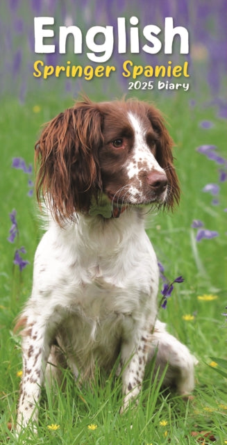 English Springer Spaniels Slim Diary 2025-9781804605806