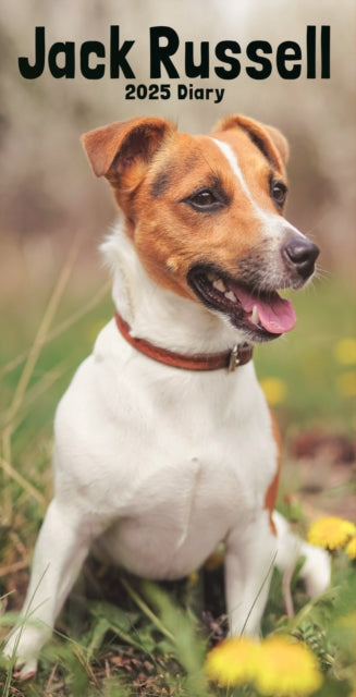 Jack Russell Terriers Slim Diary 2025-9781804605820