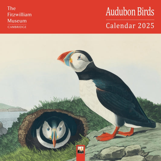 Fitzwilliam Museum: Audubon Birds Wall Calendar 2025 (Art Calendar)-9781835620779