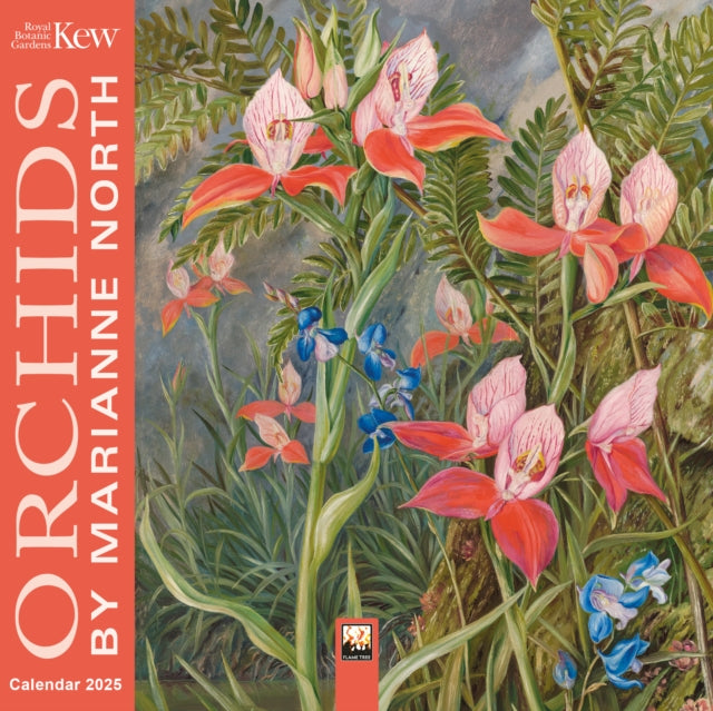 Kew Gardens: Orchids by Marianne North Mini Wall Calendar 2025 (Art Calendar)-9781835621127