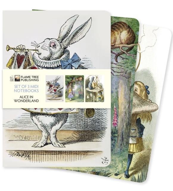 Alice in Wonderland Set of 3 Midi Notebooks-9781839647673