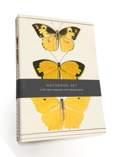 Butterfly Notebook Set : 3 A5 lined notebooks with stitched spines-9781851245413