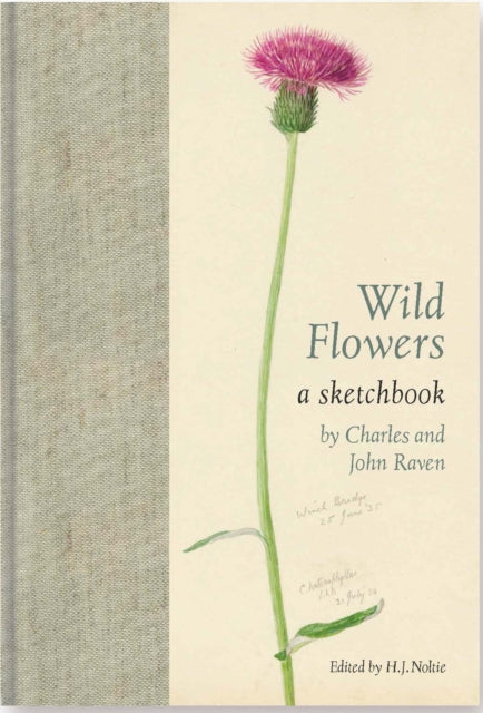 Wild Flowers : A Sketchbook by Charles and John Raven-9781910877494